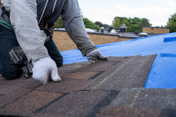 Best Shingle Roofing Installation  in Waupun, WI